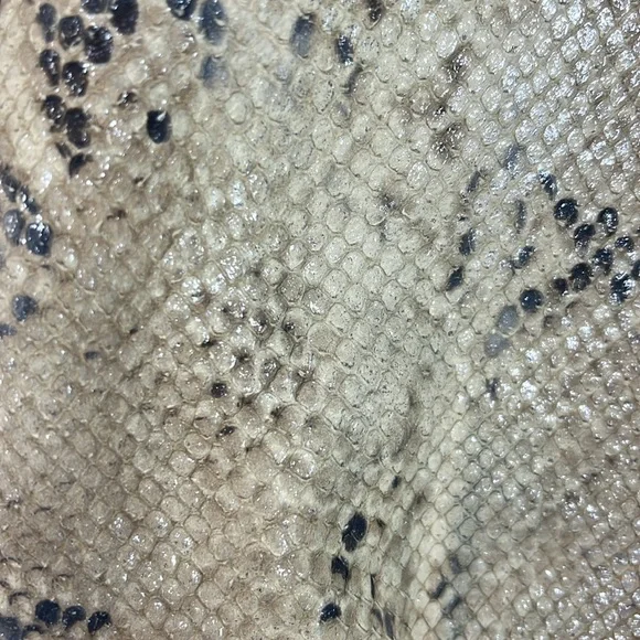 Coach Madison Lindsey Ltd Ed Python Embossed Purse - Picture 17 of 17